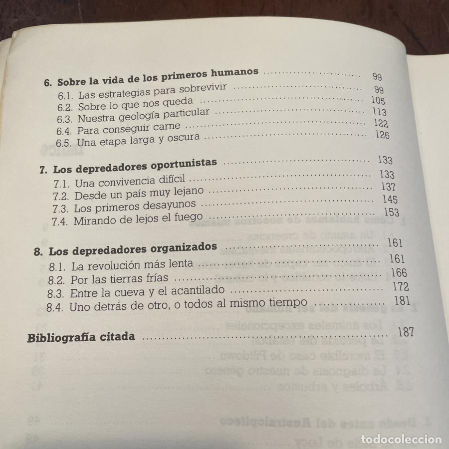 Libros: De los primeros seres humanos - Mar&iacute;a &Aacute;ngeles Querol - Foto 3