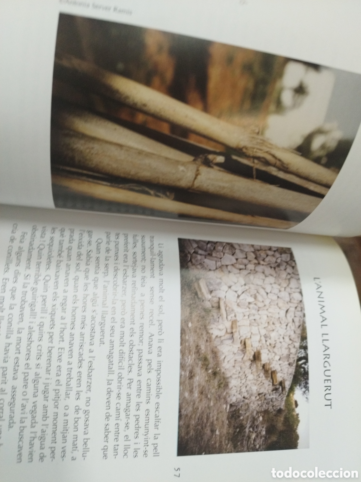 Libros: ESCOLTA, LAIA. La vida rural a la Marina - CABRERA GONZALEZ,M.Roser - Foto 9