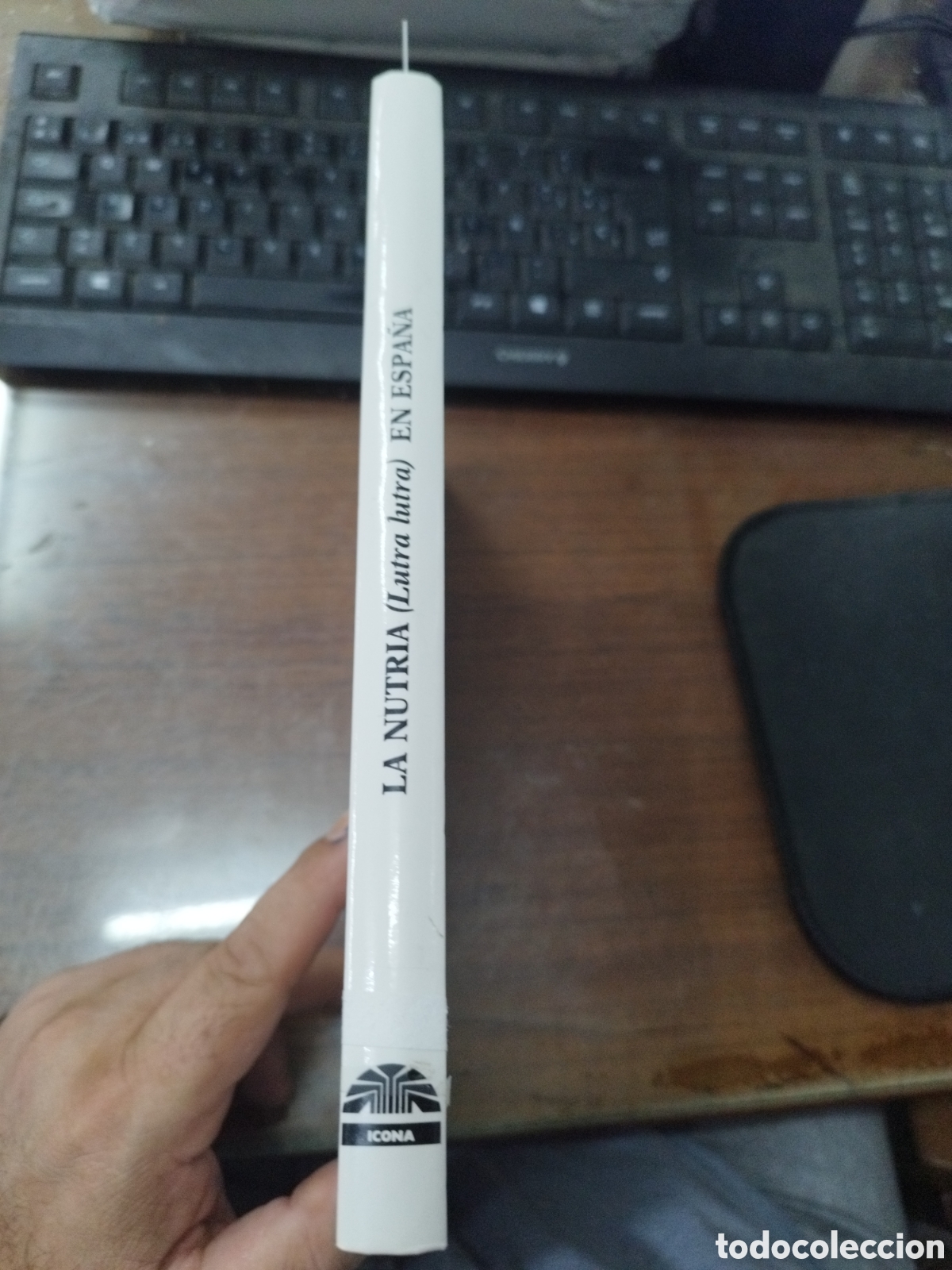 Libros: LA NUTRIA (Lutra Lutra) EN ESPA&Ntilde;A - DELIBES,Miguel (Editor) - Foto 2