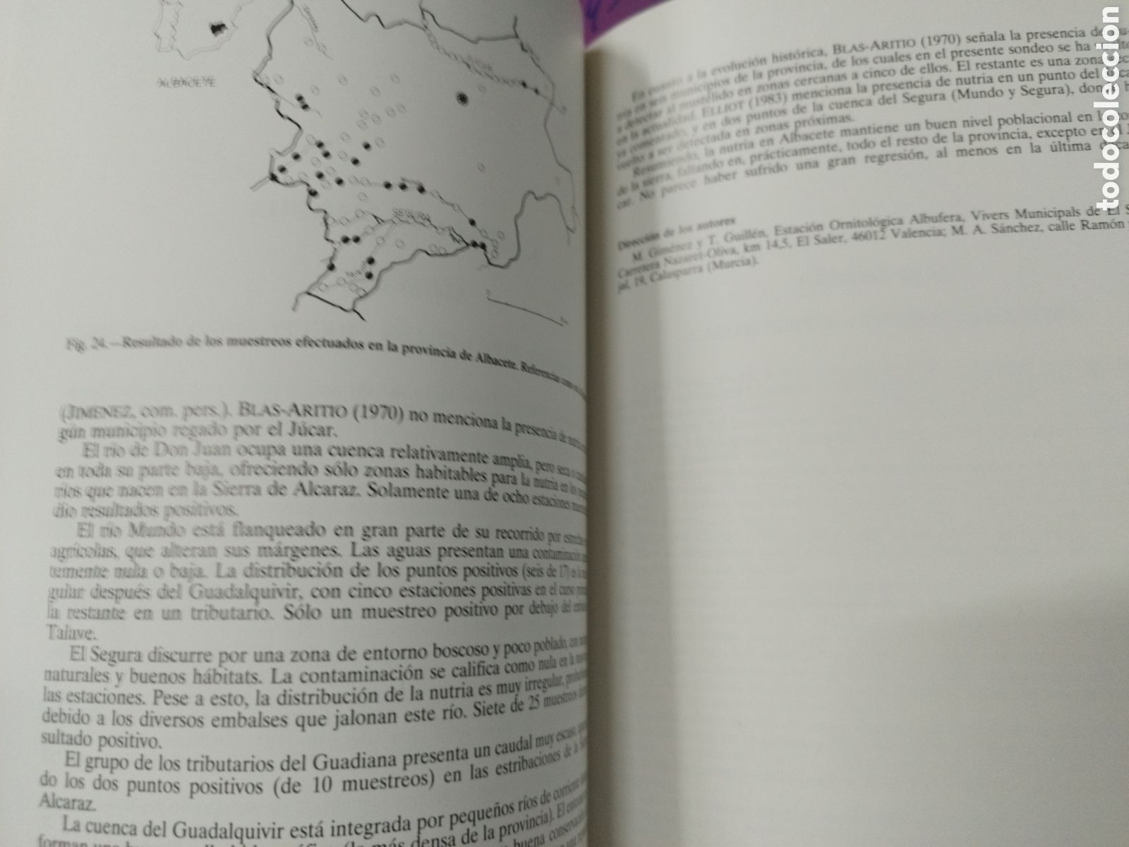 Libros: LA NUTRIA (Lutra Lutra) EN ESPA&Ntilde;A - DELIBES,Miguel (Editor) - Foto 6