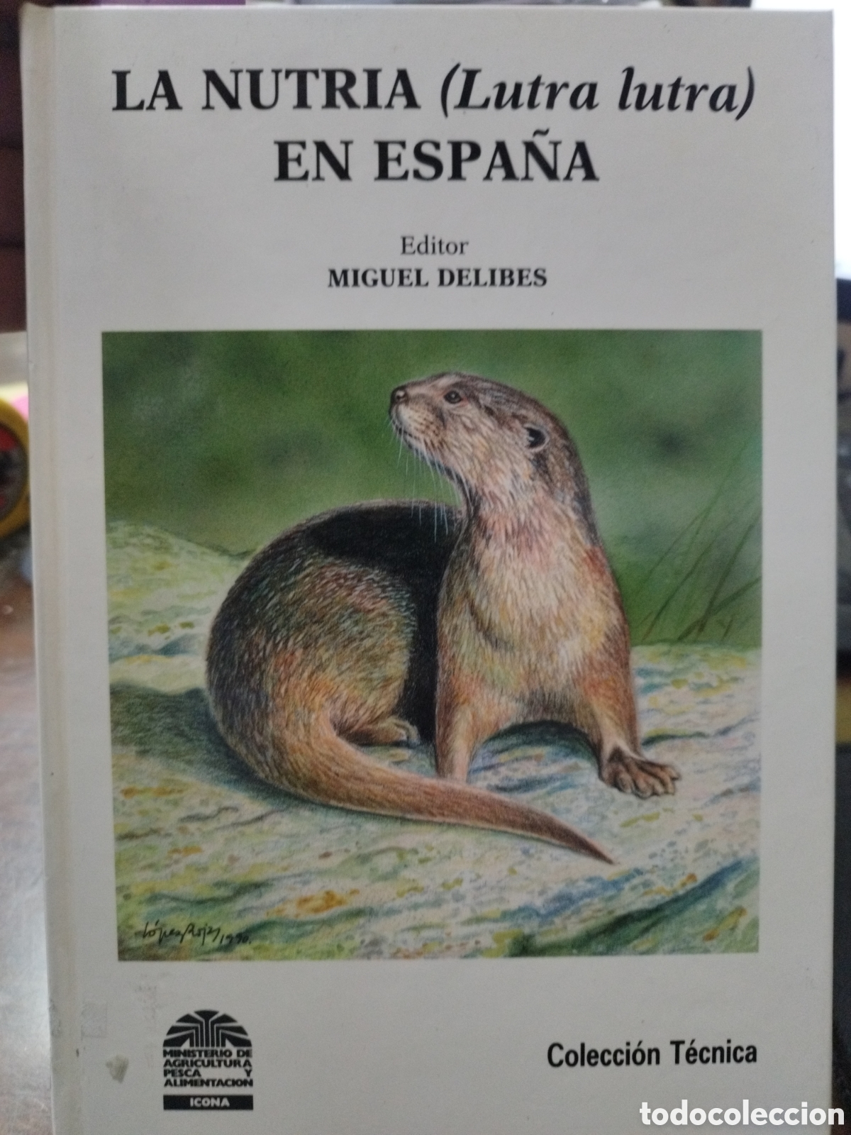 Libros: LA NUTRIA (Lutra Lutra) EN ESPA&Ntilde;A - DELIBES,Miguel (Editor) - Foto 1