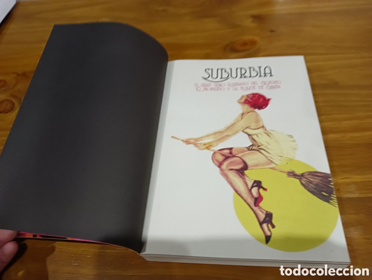 Libros: Suburbia . Colecci&oacute;n memorias del subsuelo - Foto 2