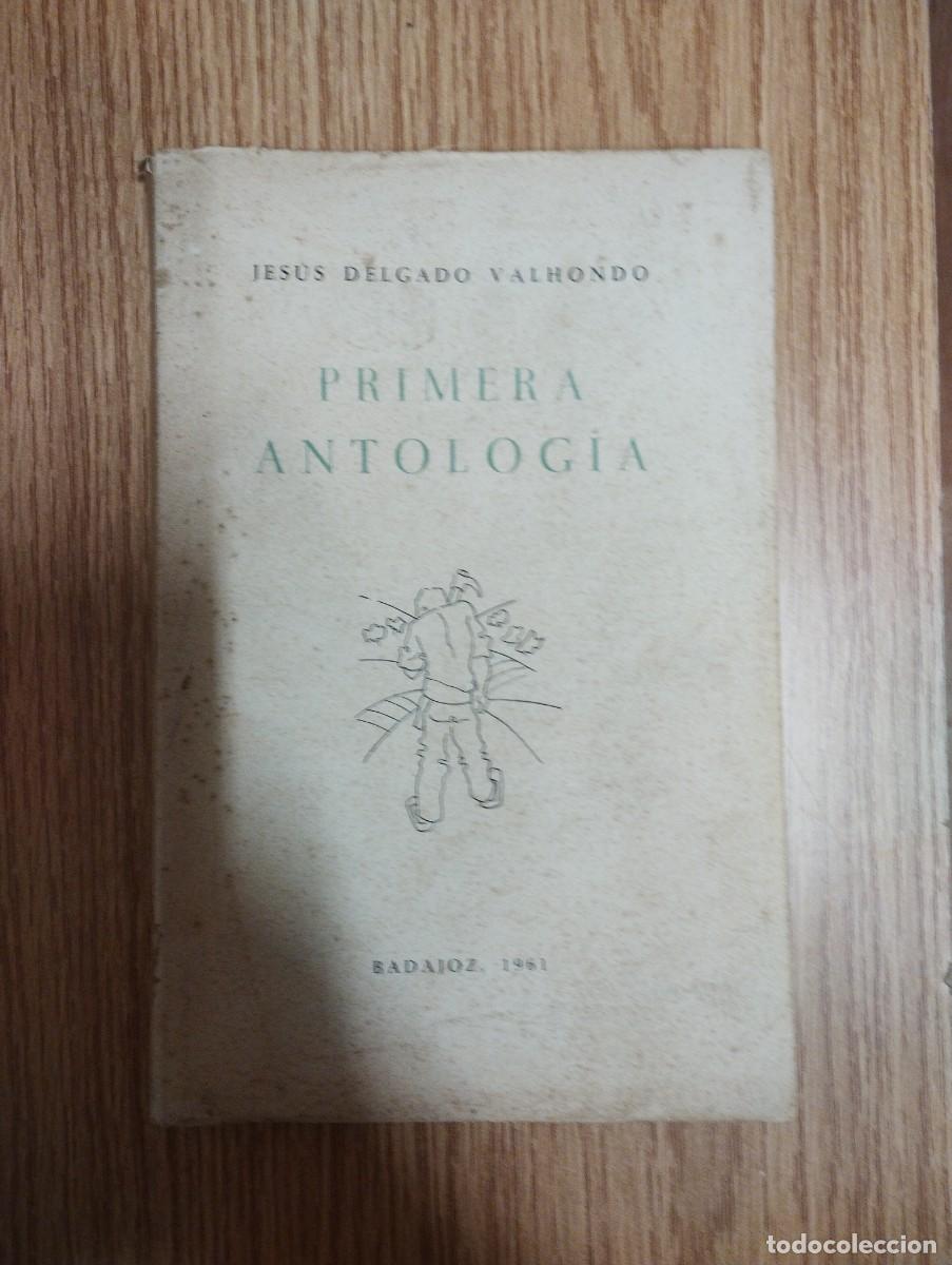 Libros: Jes&uacute;s Delgado Valhondo - Primera antolog&iacute;a - Foto 1