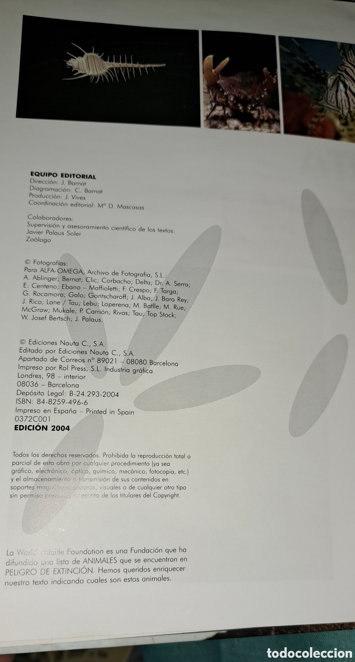 Libros: EL LIBRO DE LOS ANIMALES, NAUTA, 2004 - Foto 2