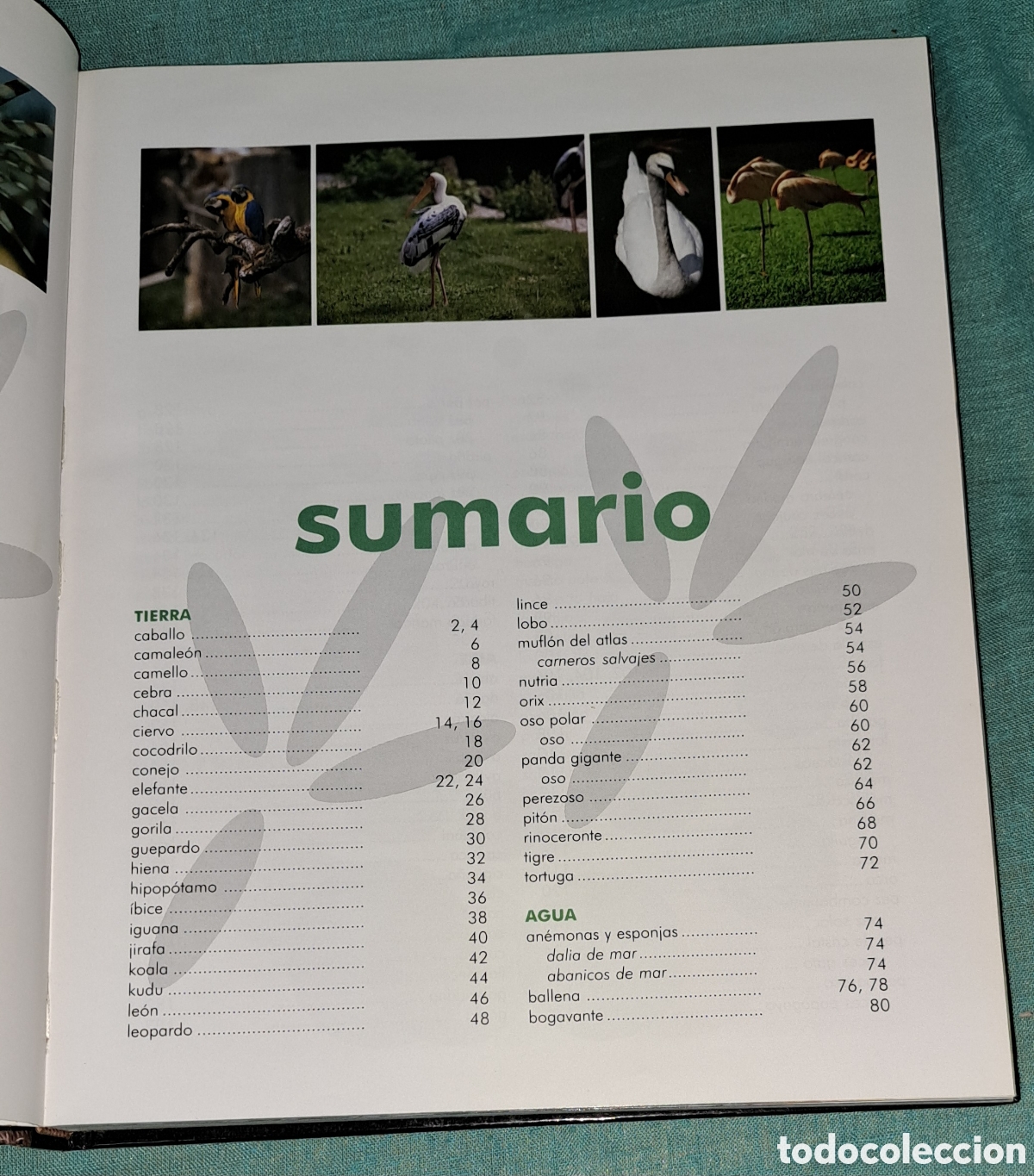 Libros: EL LIBRO DE LOS ANIMALES, NAUTA, 2004 - Foto 3