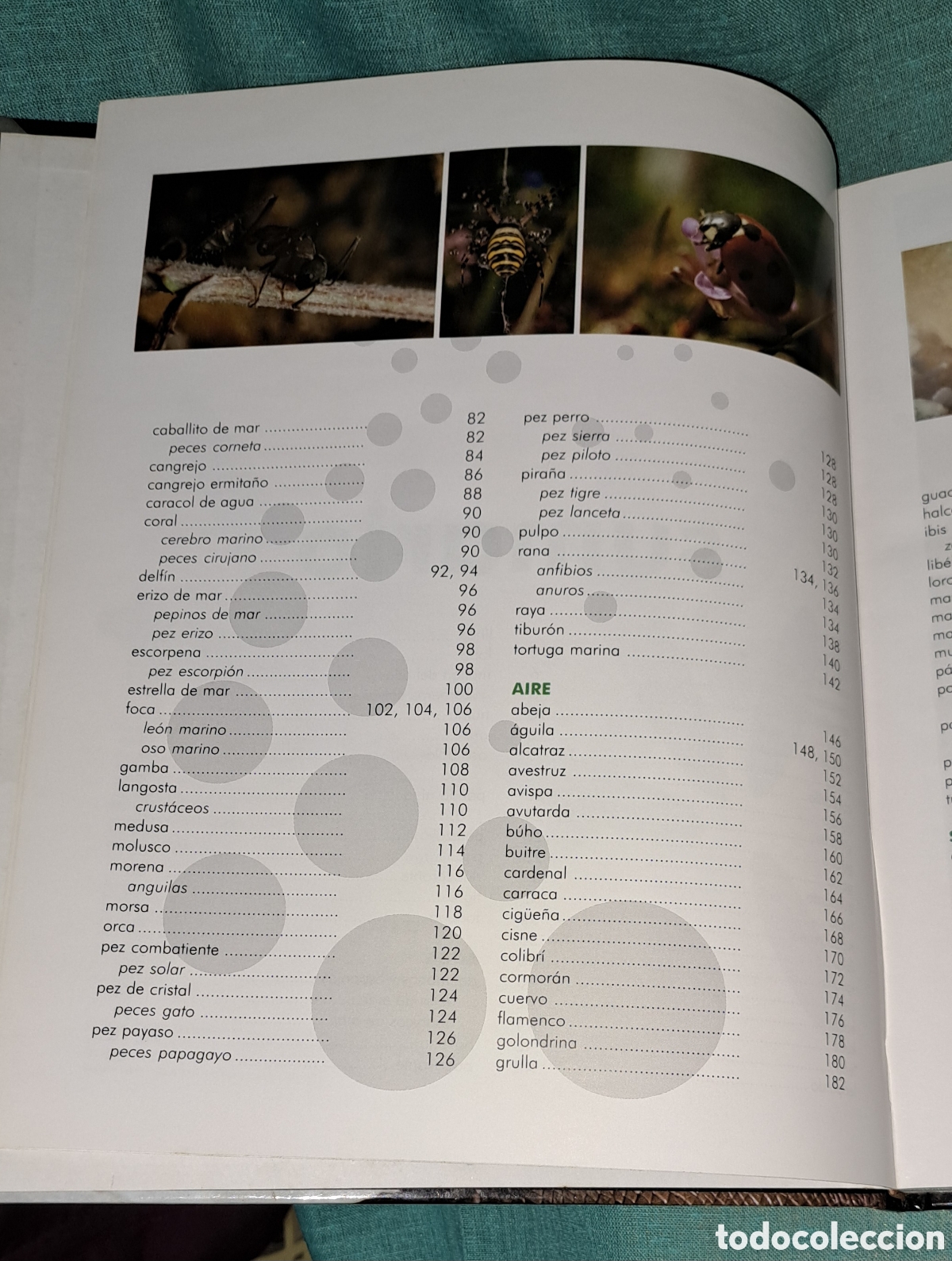 Libros: EL LIBRO DE LOS ANIMALES, NAUTA, 2004 - Foto 4