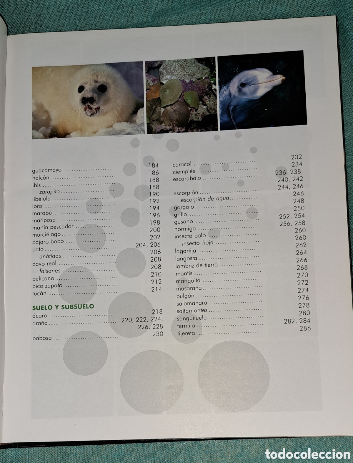 Libros: EL LIBRO DE LOS ANIMALES, NAUTA, 2004 - Foto 5