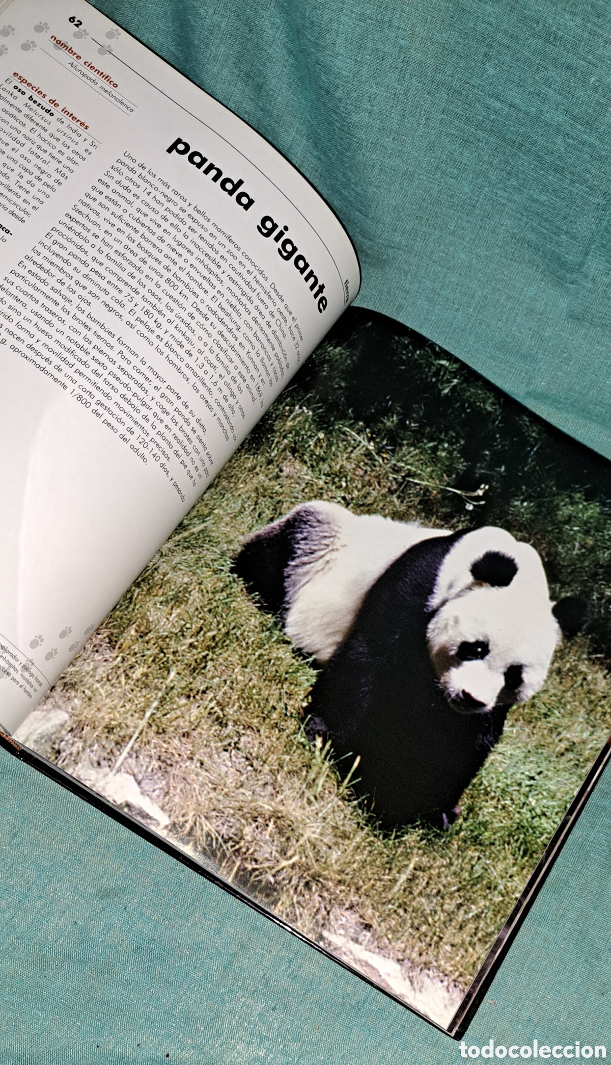 Libros: EL LIBRO DE LOS ANIMALES, NAUTA, 2004 - Foto 7