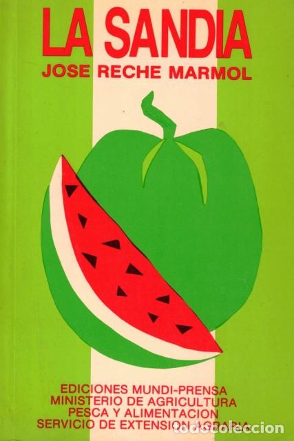 Libros: La sandia - Reche Marmol, Jos&eacute; - Foto 1