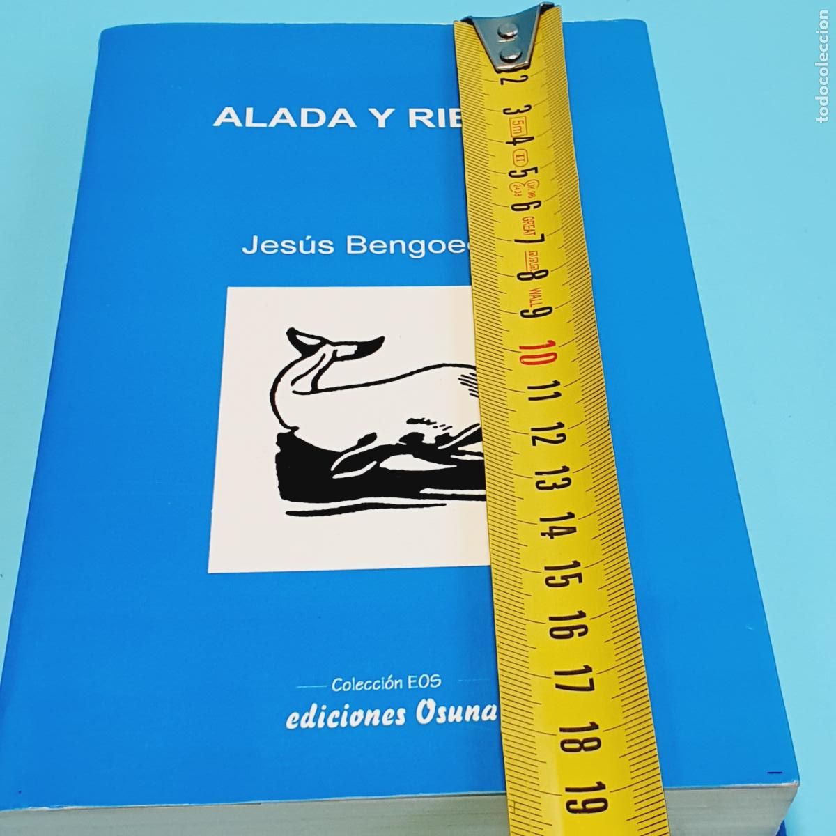 Libros: LIBRO-ALADA Y RIENTE-JES&Uacute;S BENGOECHEA-EXCELENTE - Foto 13