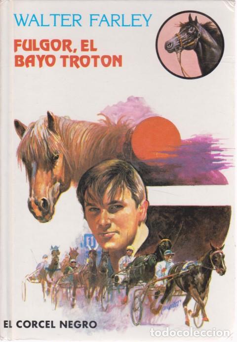 Libros: FULGOR, EL BAYO TROT&Oacute;N. EL CORCEL NEGRO - WALTER FARLEY - Foto 1