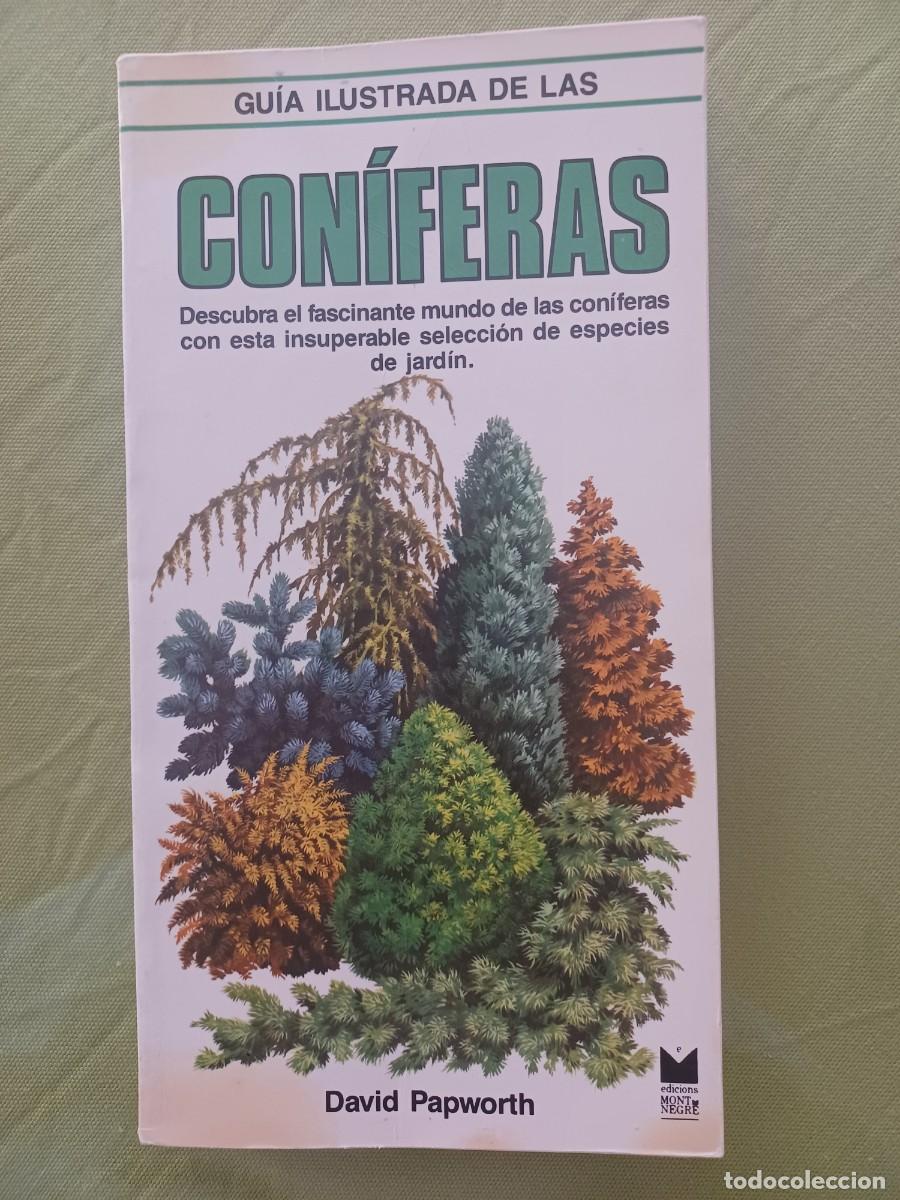 Libros: David Papworth - Gu&iacute;a ilustrada de las con&iacute;feras. - Foto 1