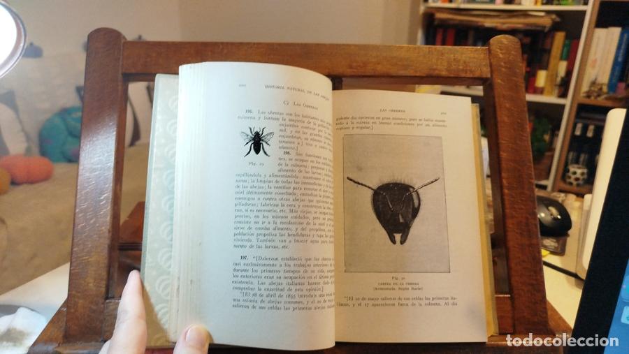 Libros: La abeja y la colmena - Langstroth, Lorenzo (1810-1895) - Foto 4