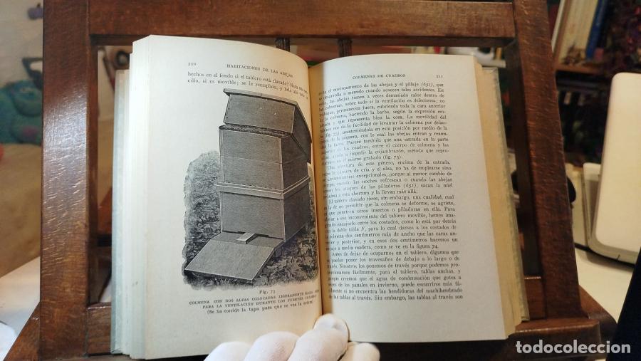 Libros: La abeja y la colmena - Langstroth, Lorenzo (1810-1895) - Foto 5