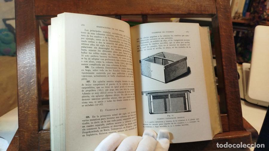 Libros: La abeja y la colmena - Langstroth, Lorenzo (1810-1895) - Foto 6