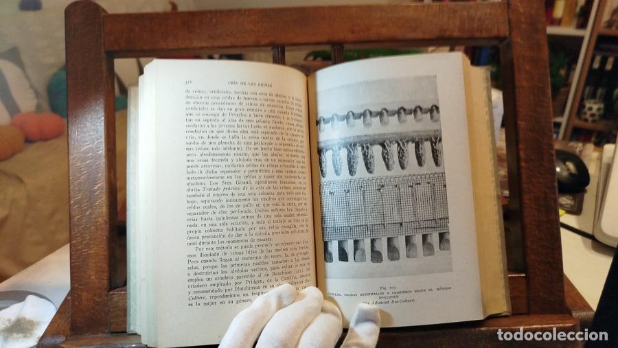 Libros: La abeja y la colmena - Langstroth, Lorenzo (1810-1895) - Foto 7
