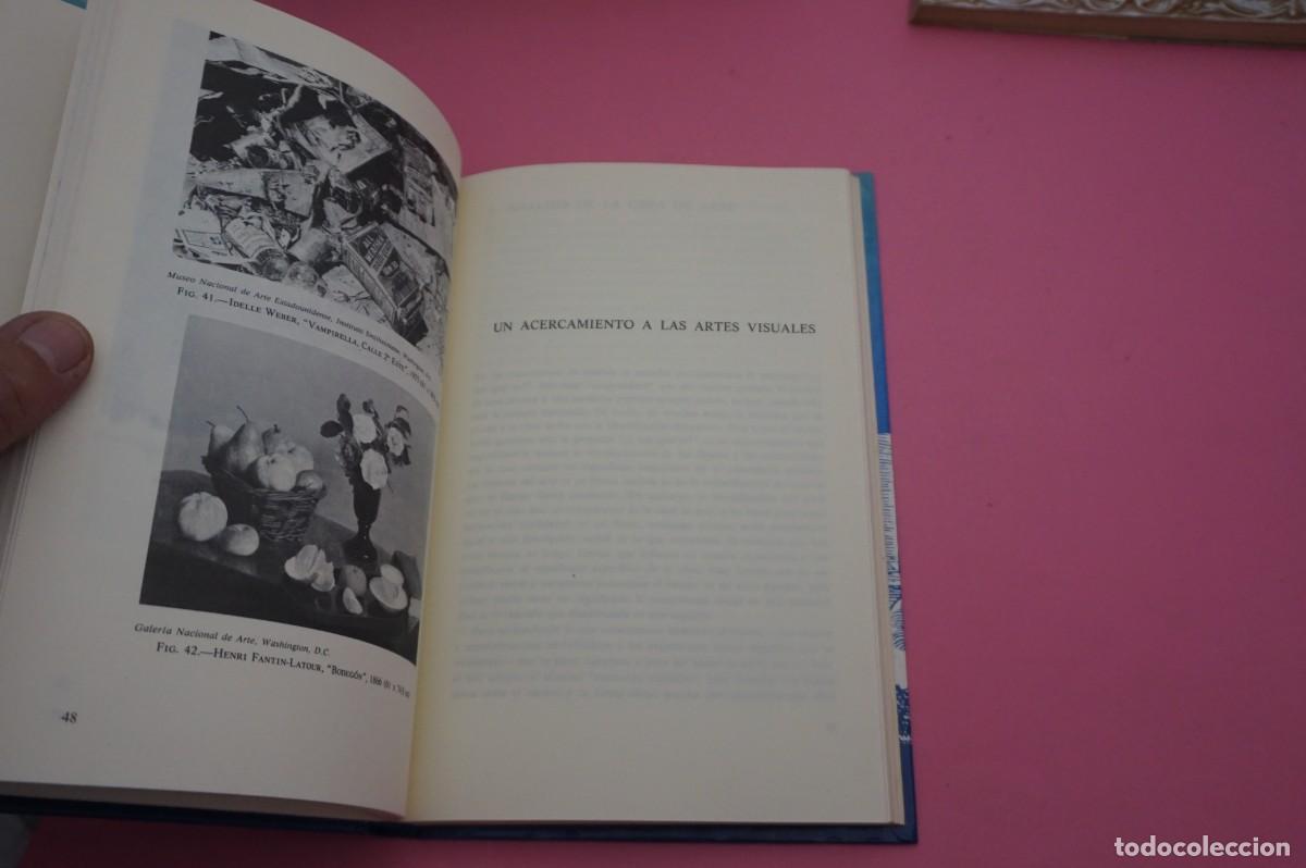 Libros: AR2B2/ APRENDER A MIRAR - UNA INTRODUCCION A LAS ARTES VISUALES / EDICIONES LA ISLA - Foto 4