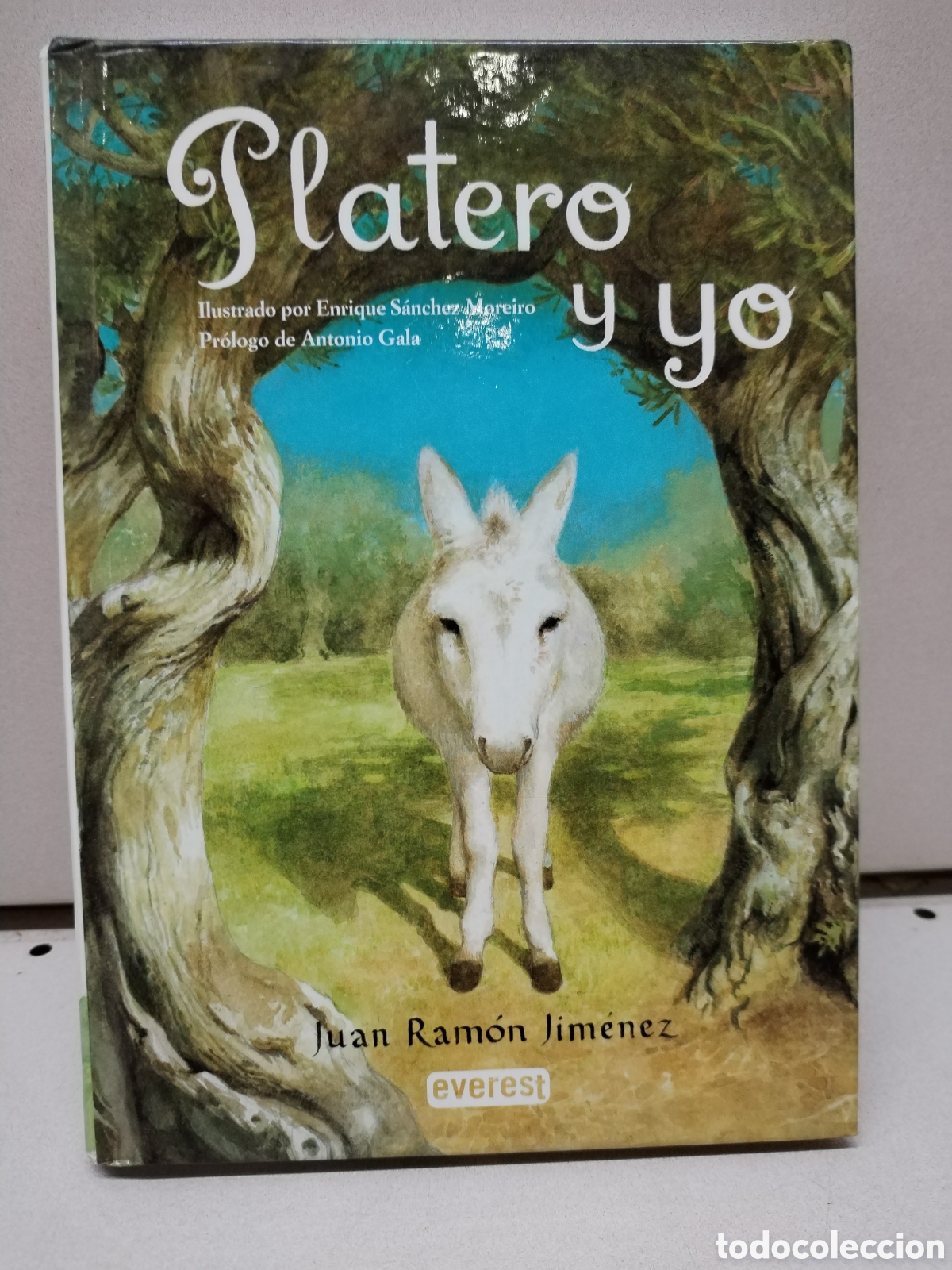 Libros: Platero y yo - Jim&eacute;nez Juan Ram&oacute;n - Foto 1