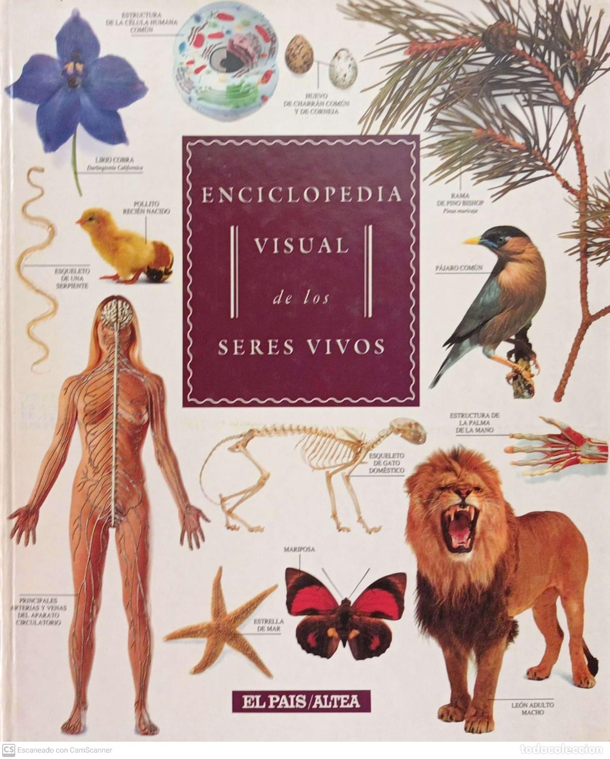 Libros: Enciclopedia visual de los seres vivos - Foto 1