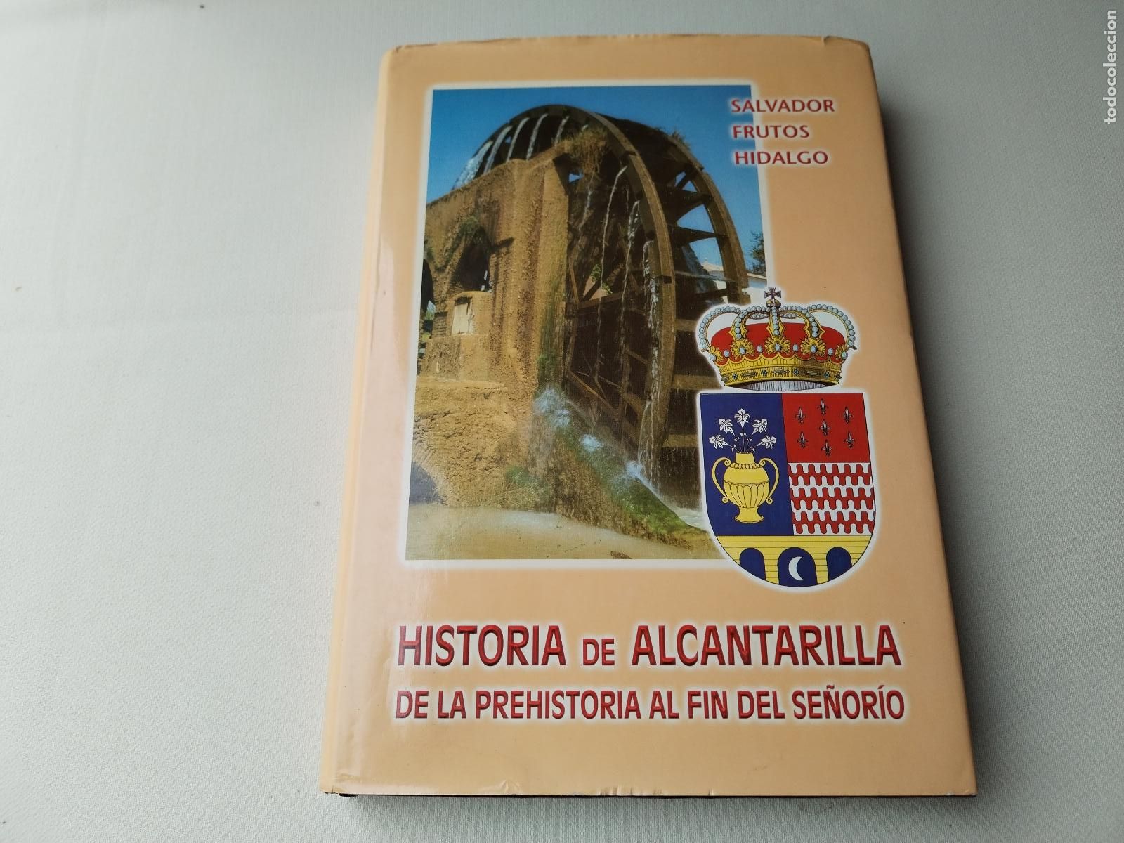 Libros: Historia de Alcantarilla: De la Prehistoria al fin del Se&ntilde;or&iacute;o - Salvador Frutos Hidalgo - c140