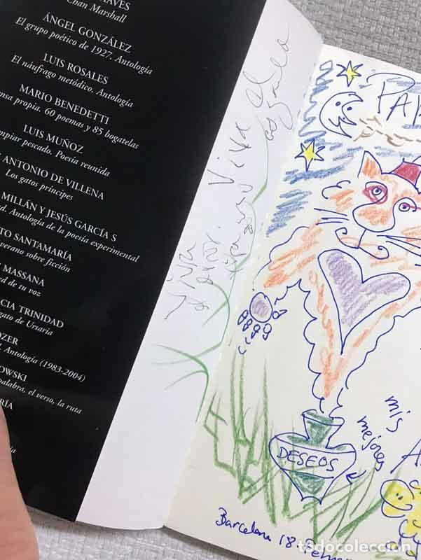 Libros: Compa&ntilde;era de celda - Ana Merino - Foto 2