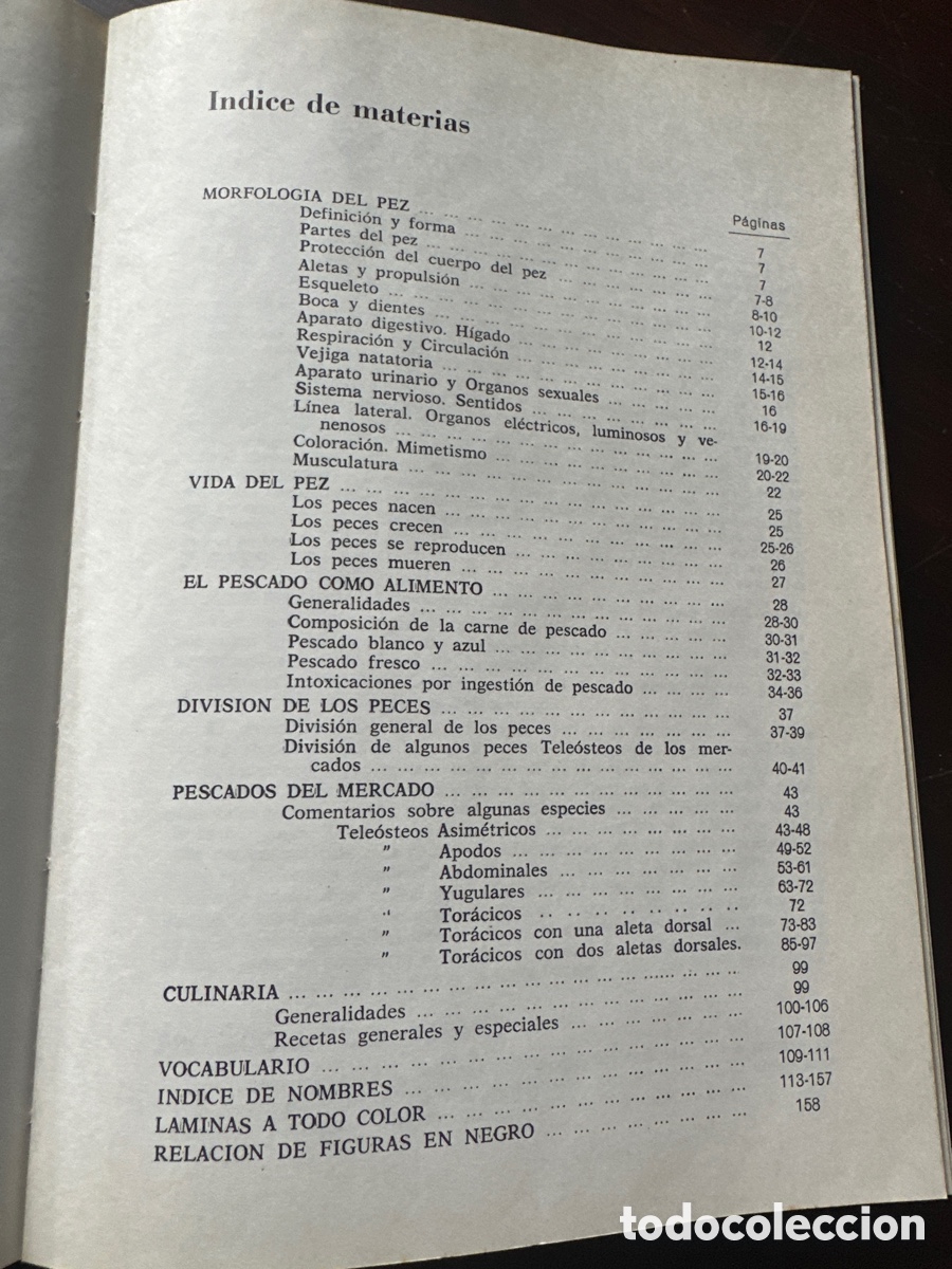Libros: PESCADO BLANCO Y AZUL / ROBERTO LOTINA BENGURIA - Foto 3