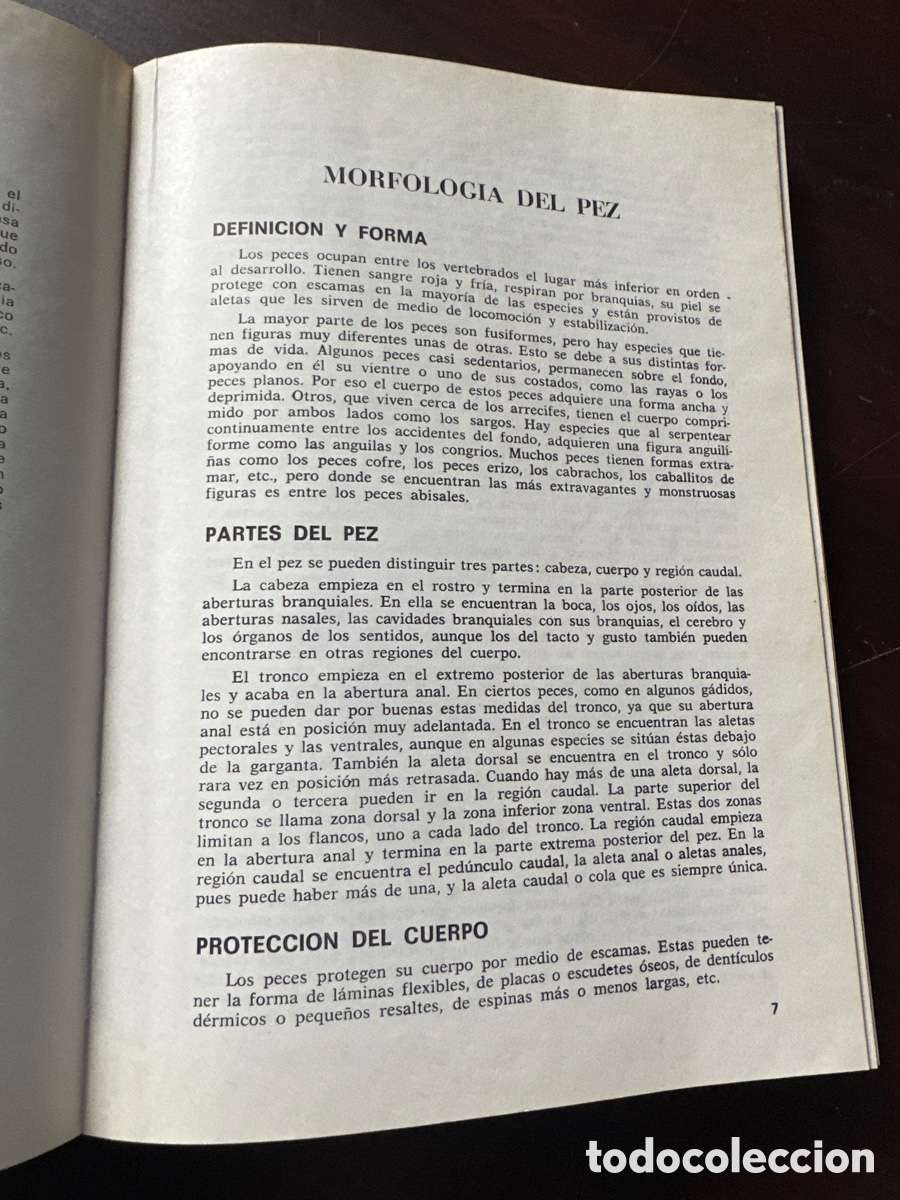 Libros: PESCADO BLANCO Y AZUL / ROBERTO LOTINA BENGURIA - Foto 4