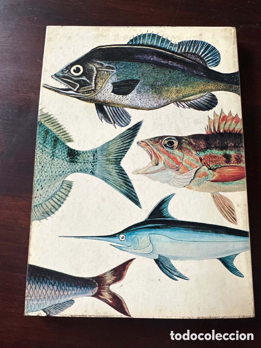 Libros: PESCADO BLANCO Y AZUL / ROBERTO LOTINA BENGURIA - Foto 8