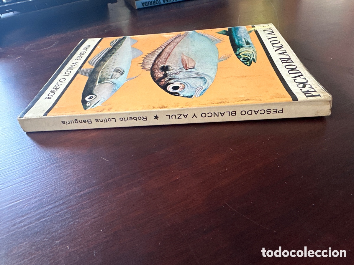 Libros: PESCADO BLANCO Y AZUL / ROBERTO LOTINA BENGURIA - Foto 9
