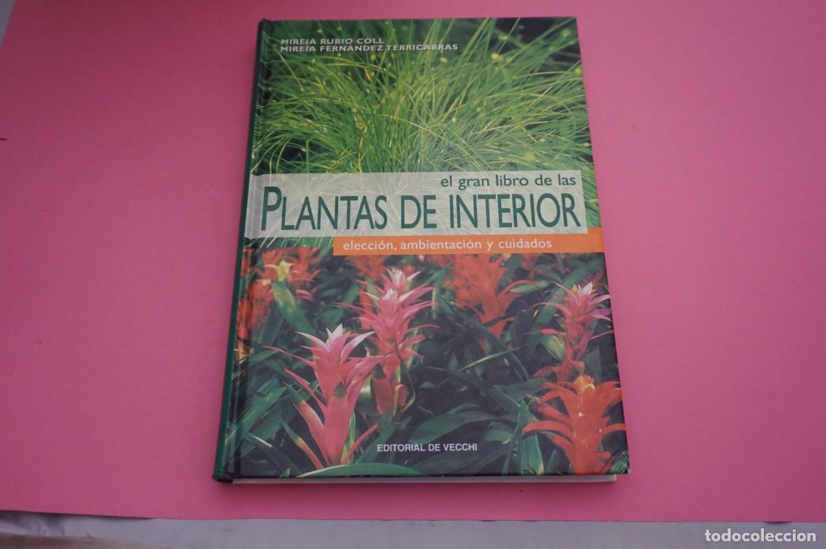 Libros: AR10D/ EL GRAN LIBRO DE LAS PLANTAS DE INTERIOR / EDITORIAL DE VECCHI - Foto 1