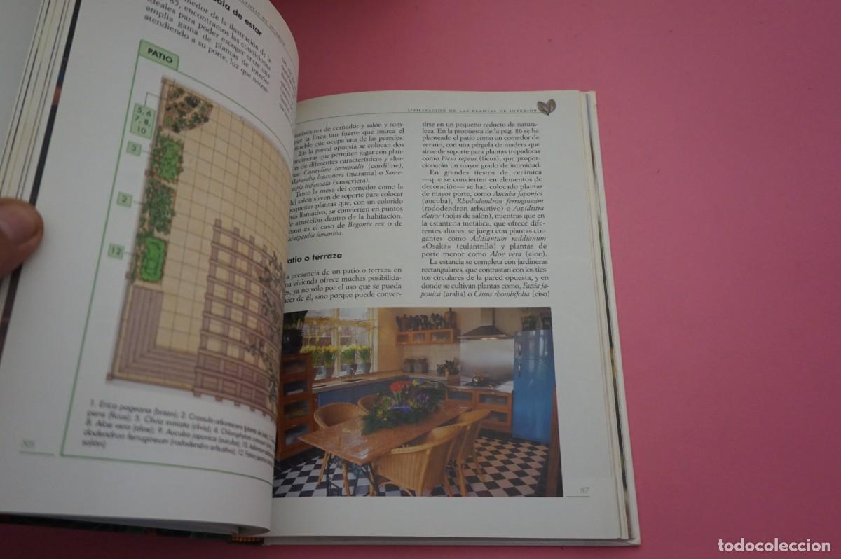 Libros: AR10D/ EL GRAN LIBRO DE LAS PLANTAS DE INTERIOR / EDITORIAL DE VECCHI - Foto 4