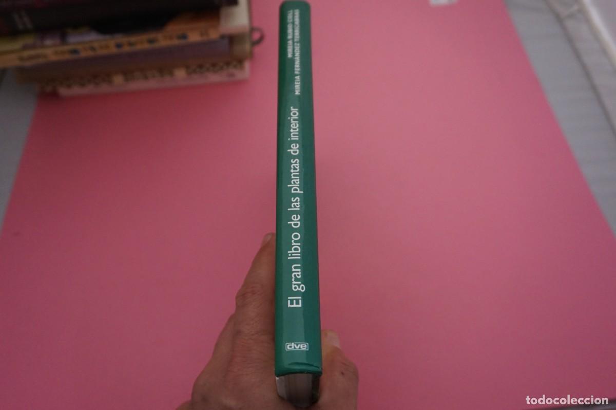 Libros: AR10D/ EL GRAN LIBRO DE LAS PLANTAS DE INTERIOR / EDITORIAL DE VECCHI - Foto 6