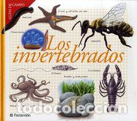 Libros: INVERTEBRADOS,LOS - BARRES MANUEL,JOSEP M - Foto 1