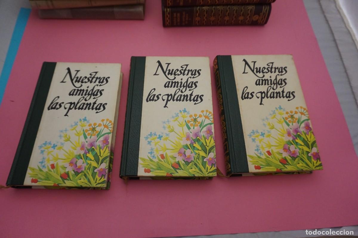 Libros: AR12C/ NUESTRAS AMIGAS LAS PLANTAS - 3 TOMOS - Foto 1