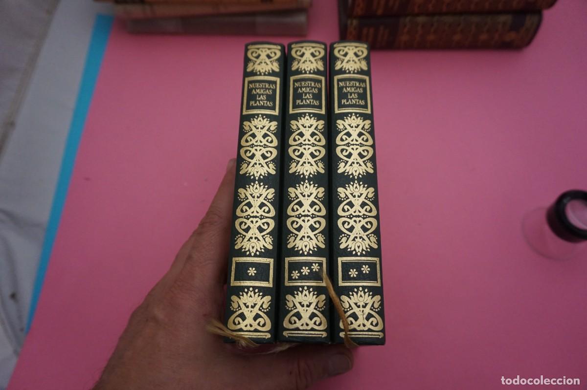 Libros: AR12C/ NUESTRAS AMIGAS LAS PLANTAS - 3 TOMOS - Foto 9