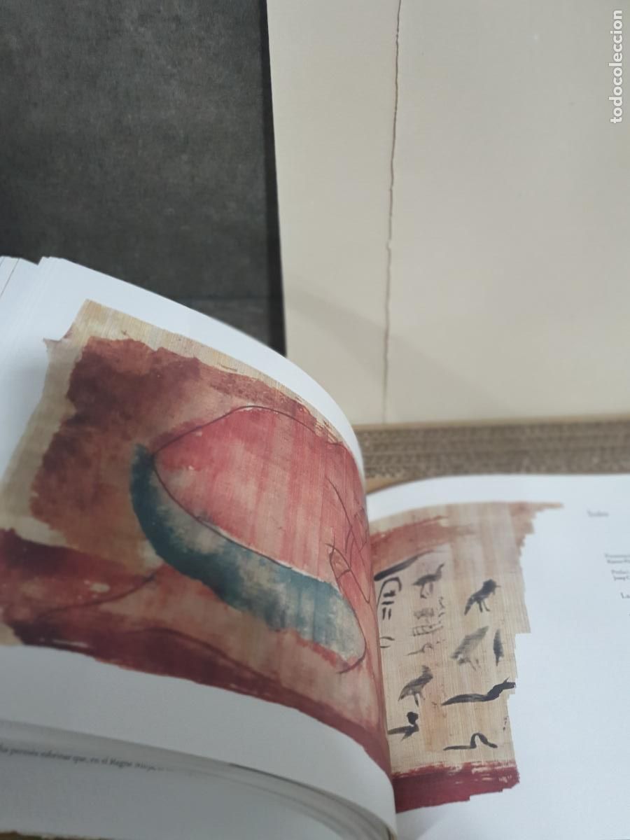 Libros: La vida de Sinuh&egrave; o el gust de la mort - Foto 5