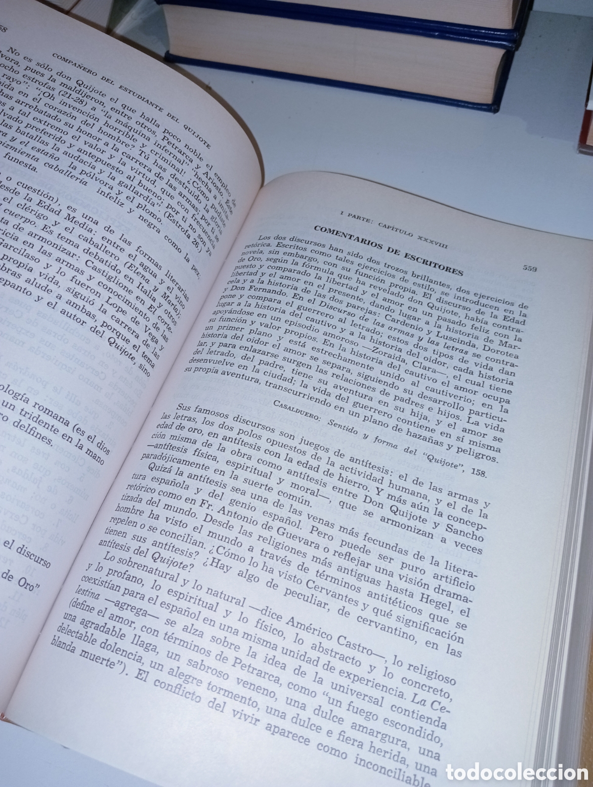 Libros: Compa&ntilde;ero del estudiante del Quijote - Foto 5
