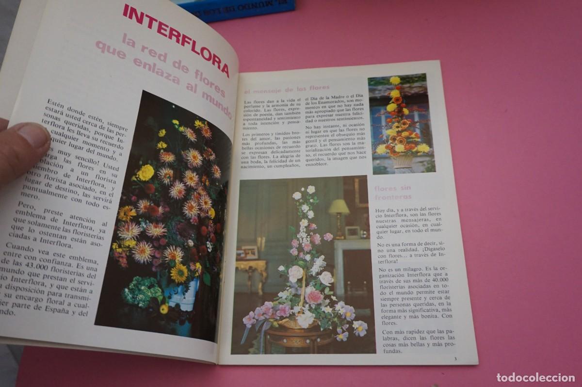 Libros: AR17C / GUIA INTERFLORA - PLANTAS DE INTERIOR - VIA INTERFLORA - Foto 2