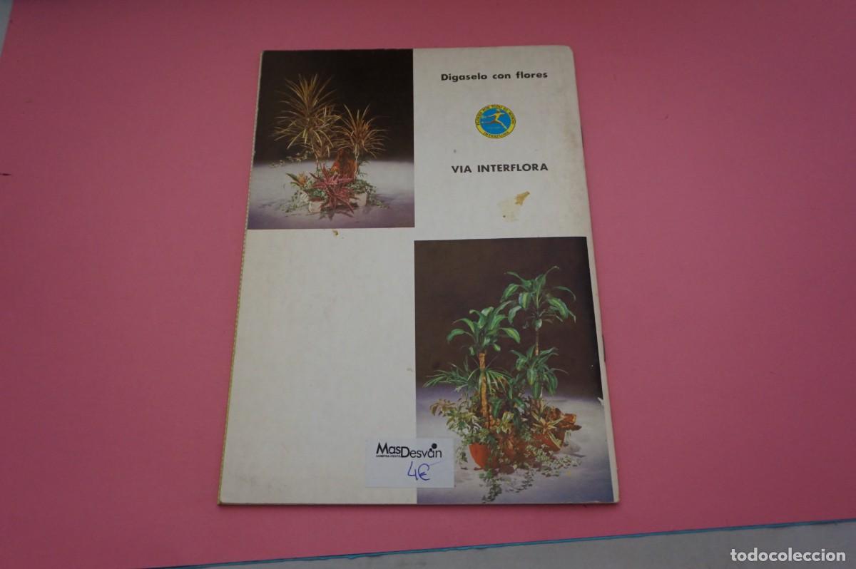 Libros: AR17C / GUIA INTERFLORA - PLANTAS DE INTERIOR - VIA INTERFLORA - Foto 4