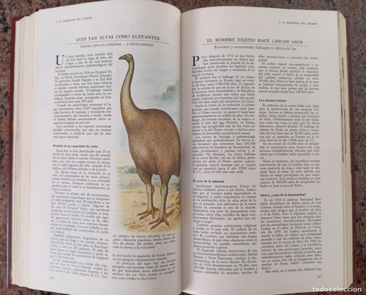 Libros: EL GRAN LIBRO DE LO ASOMBROSO E INAUDITO - READER&acute;S DIGEST - Foto 3