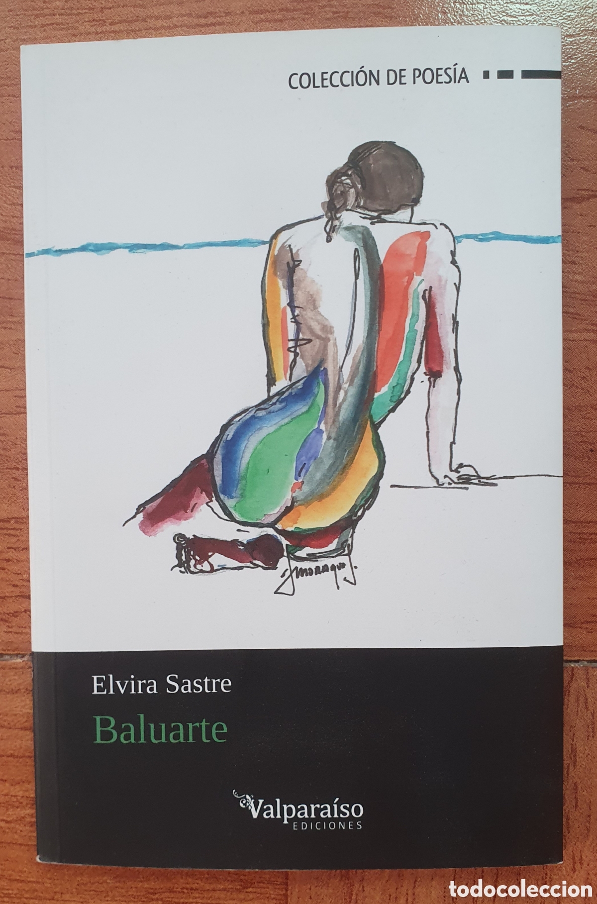 Libros: Baluarte � Valpara&iacute;so - Elvira Sastre - Foto 1