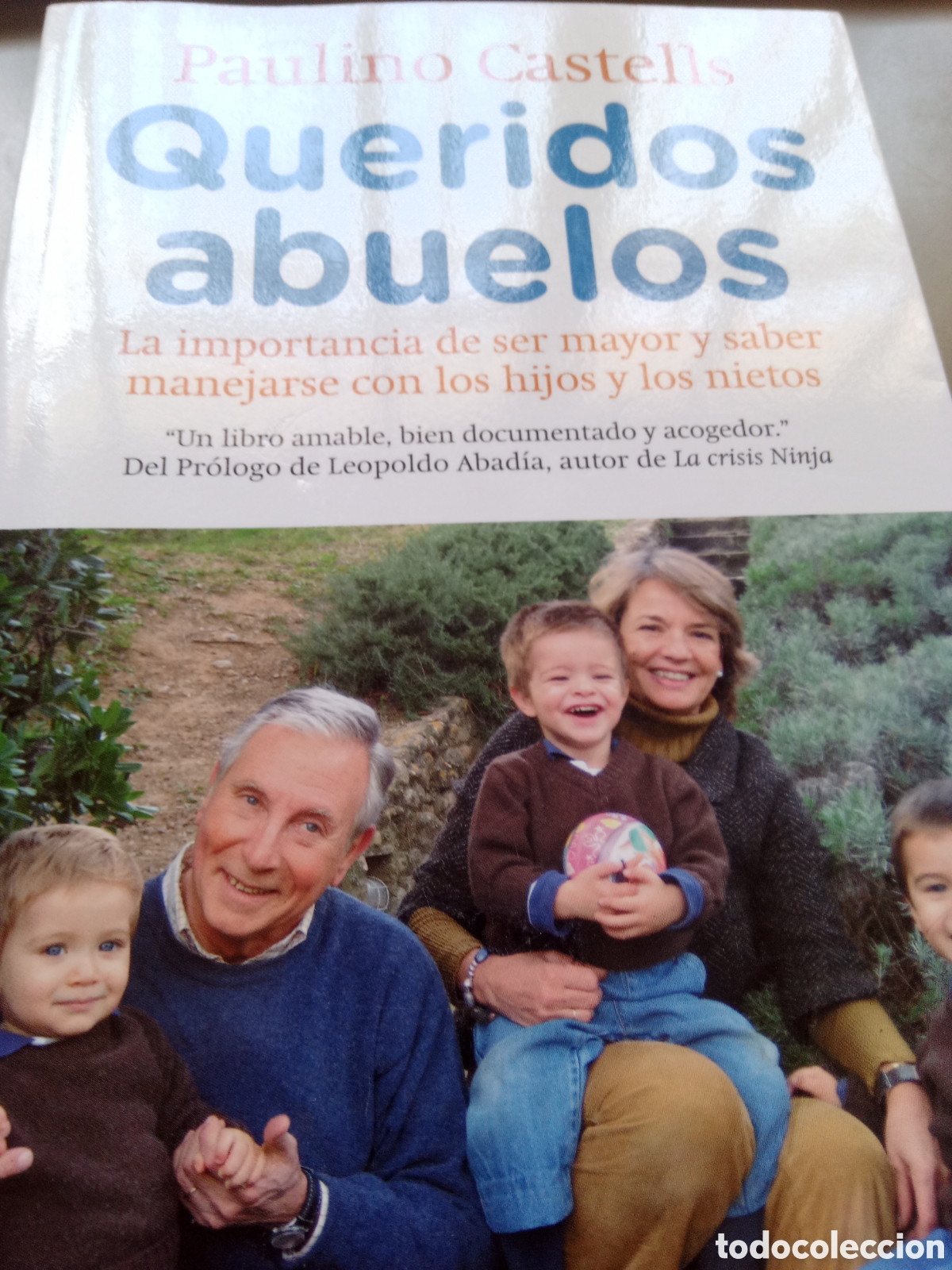 Libros: Queridos abuelos. Paulino Castells. - Foto 1
