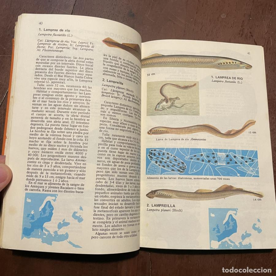 Libros: Los peces de agua dulce - Muus. Dahlstrom - Foto 2