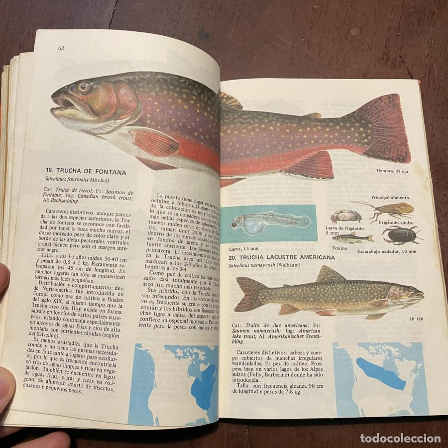 Libros: Los peces de agua dulce - Muus. Dahlstrom - Foto 3