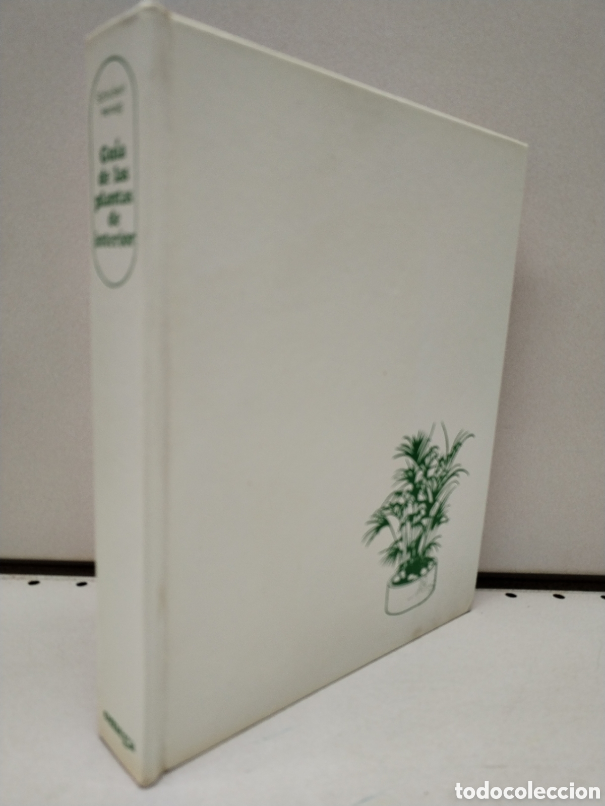 Libros: GUIA DE LAS PLANTAS DE INTERIOR - SCHUBERT - Foto 1