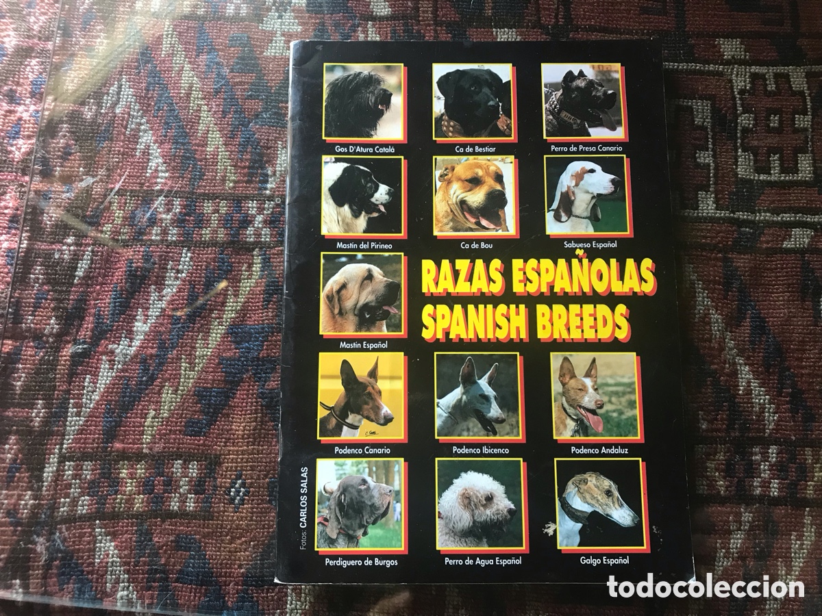 Libros: Razas espa&ntilde;olas. Spanish breeds. Biling&uuml;e . Perros. - Foto 1