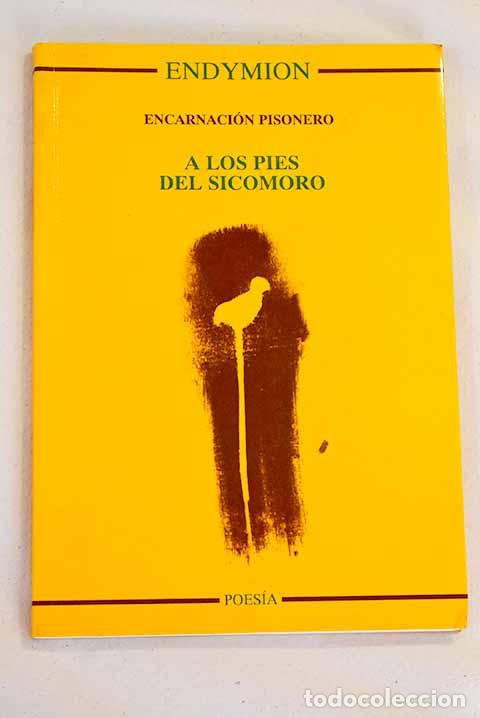 Libros: A los pies del sicomoro.- Pisonero, Encarnaci&oacute;n - Foto 1
