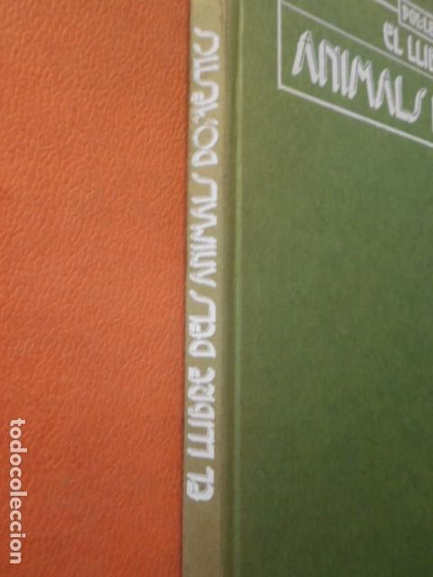 Libros: EL LLIBRE DELS ANIMALS DOMESTIC. EDICIONES POL.LEN - Foto 2