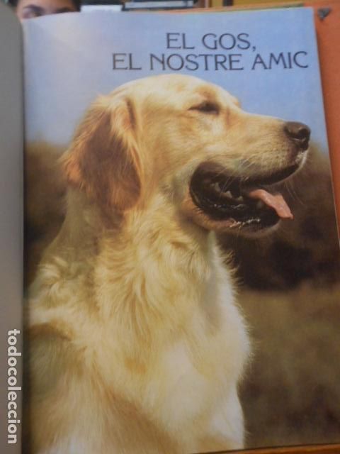 Libros: EL LLIBRE DELS ANIMALS DOMESTIC. EDICIONES POL.LEN - Foto 3