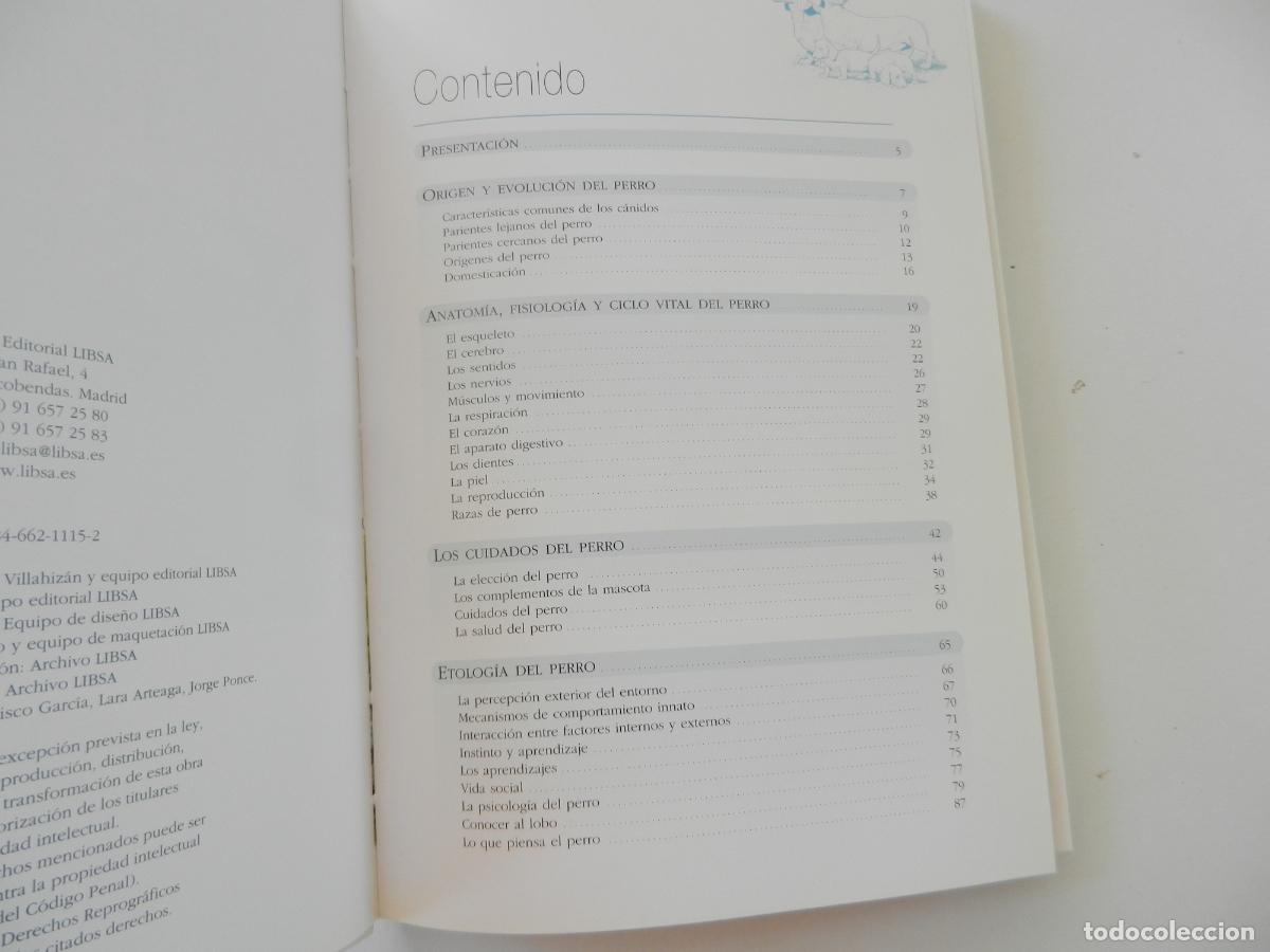 Libros: ENTENDER EDUCAR Y CUIDAR A TU PERRO - JAVIER VILLAHIZ&Aacute;N - EDITORIAL LIBSA 2006. - Foto 3